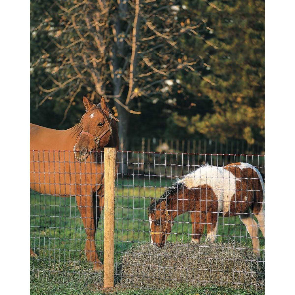 Non-Climb Horse Fence 60 in. x 100 ft E10412