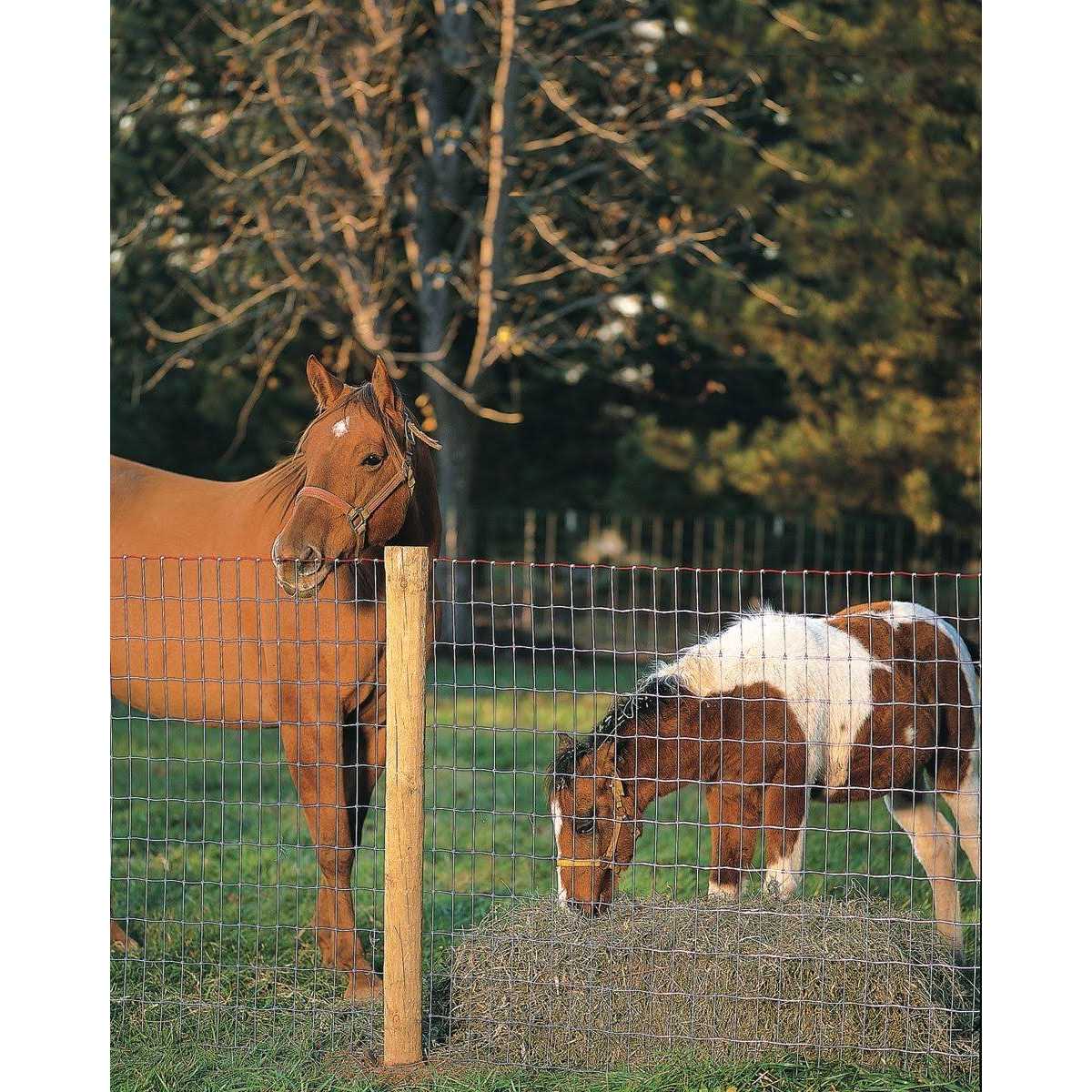 Non-Climb Horse Fence 60 in. x 100 ft E10412