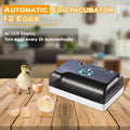 12 Egg Automatic Egg Incubator with Humidity Control P310137