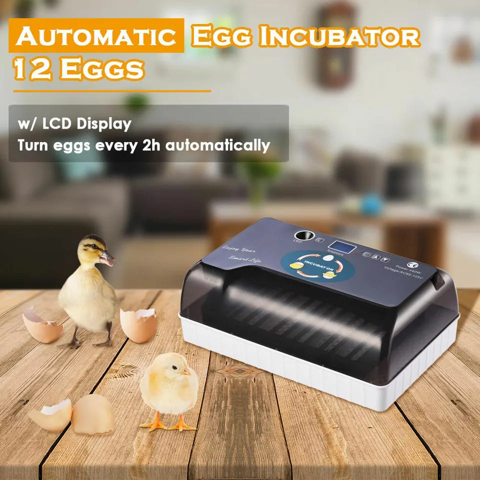 12 Egg Automatic Egg Incubator with Humidity Control P310137
