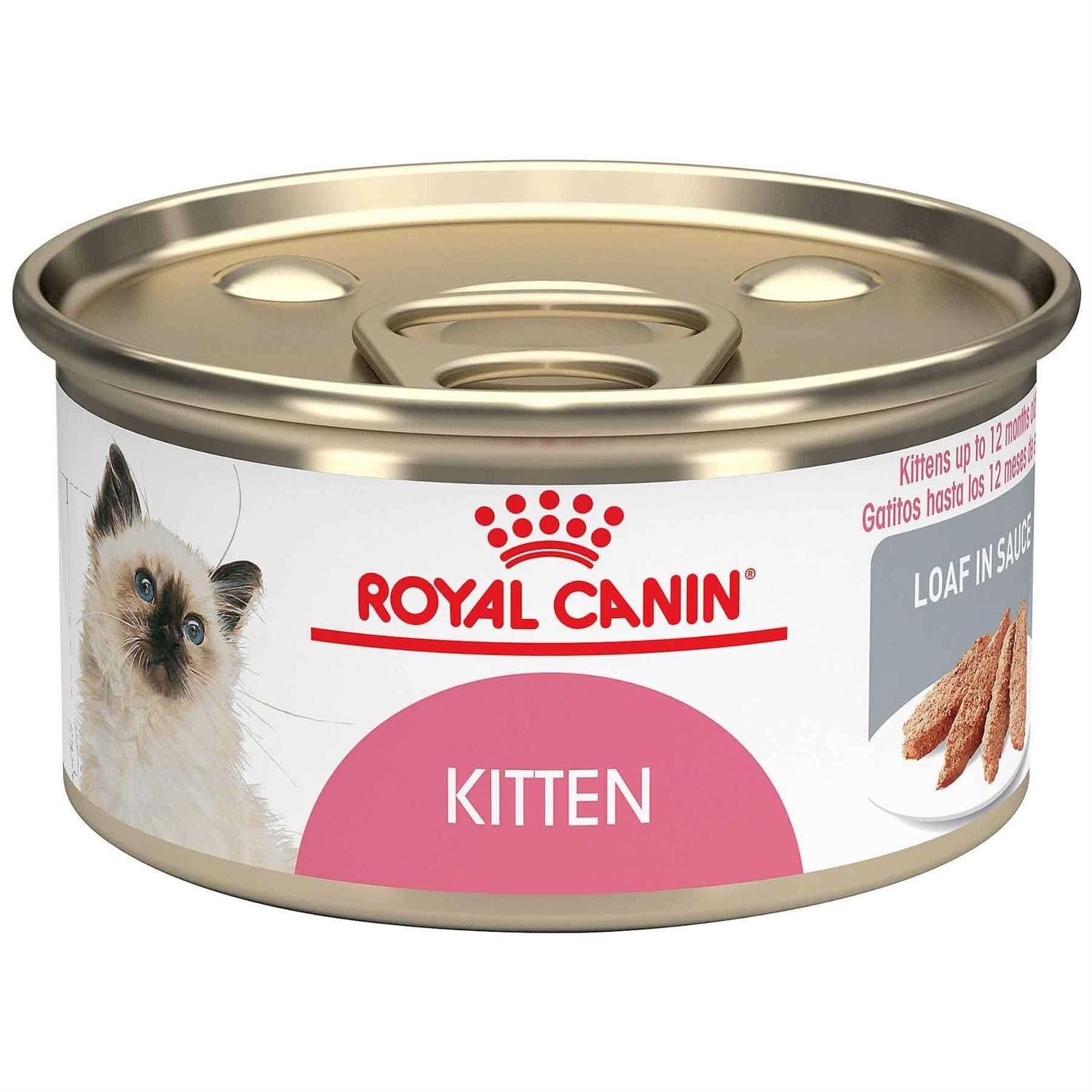 Kitten Loaf in Sauce Cat Food M67937