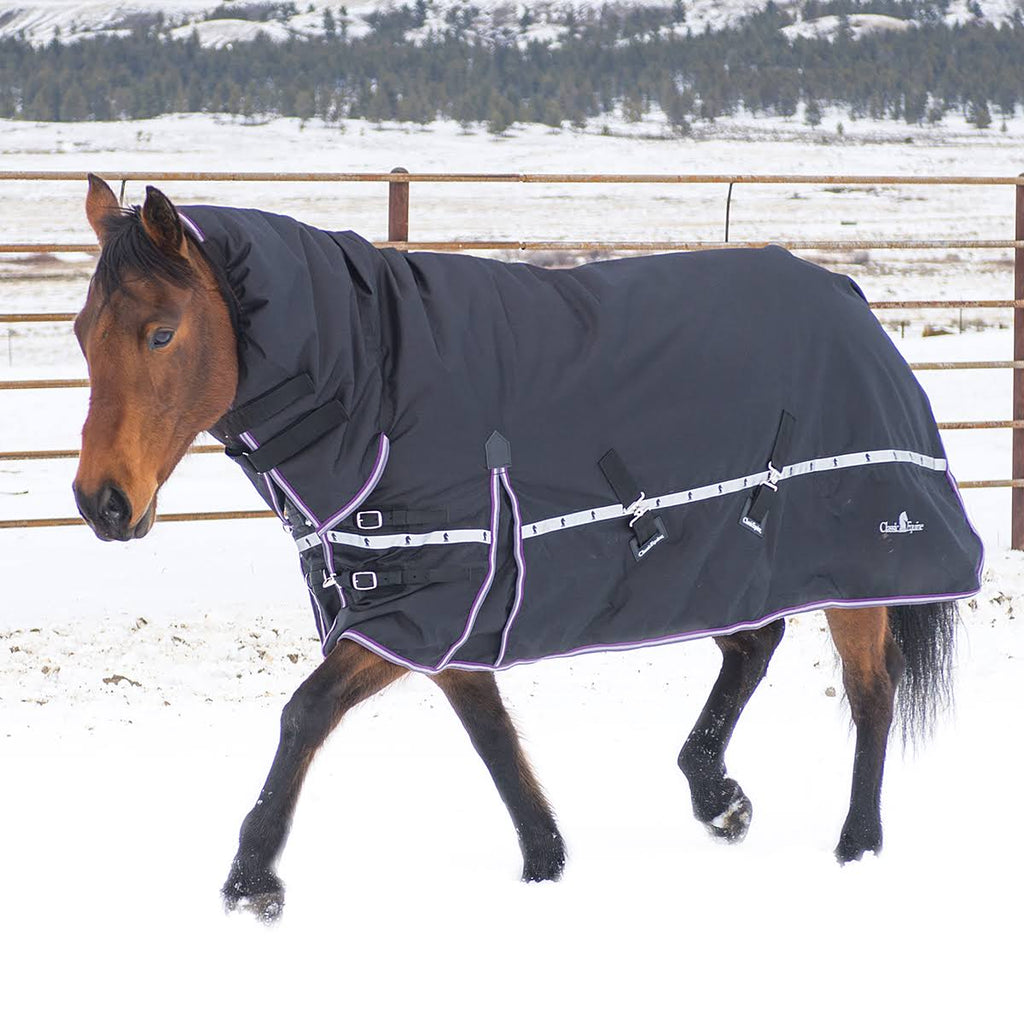 10k Cross Trainer Horse Blanket with Hood R8612