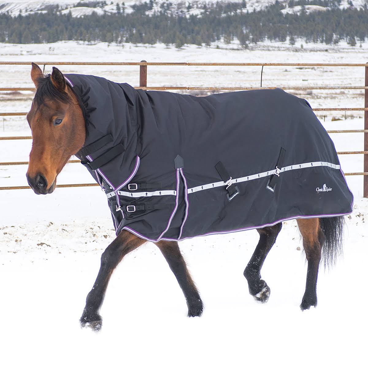 10k Cross Trainer Horse Blanket with Hood R8612