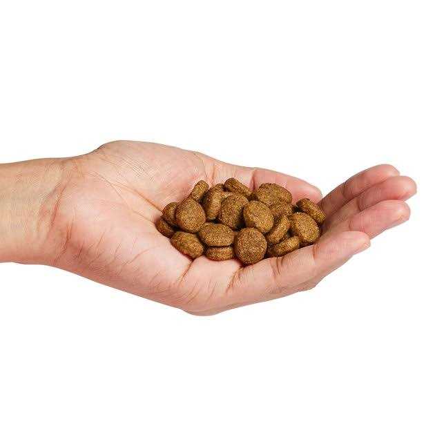 Large Breed Salmon Dry Dog Food X798