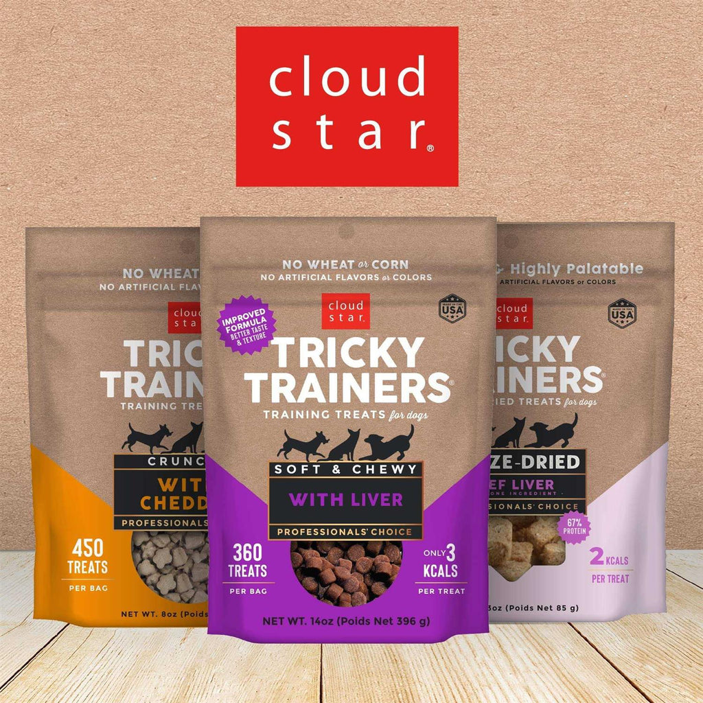 Chewy Cheddar Dog Treats E13504