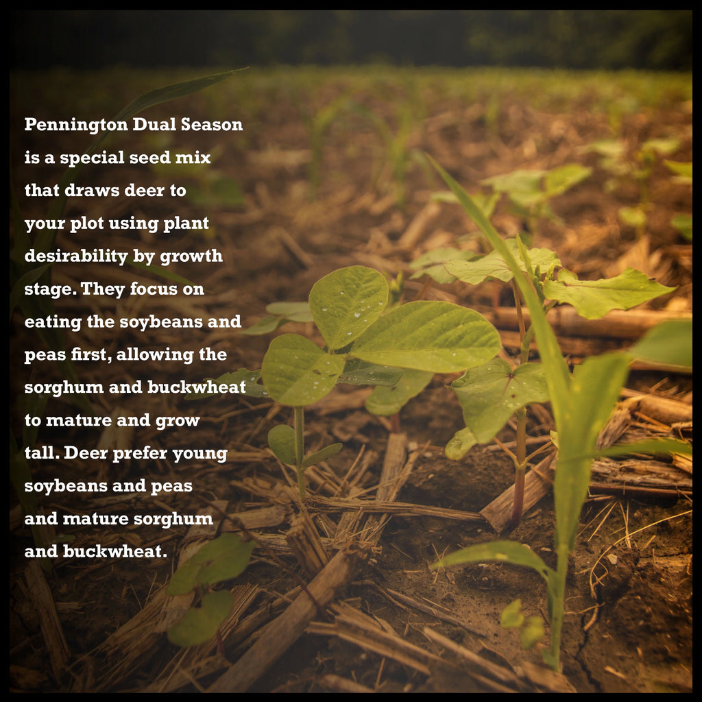 10 lb. Dual Season Food Plot Seed L34217