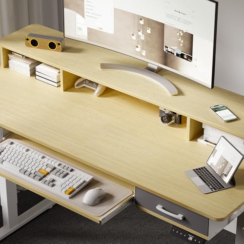 48x24 Inches Electric Standing Desk with 2 Drawers, Height Adjustable, Oak W48203