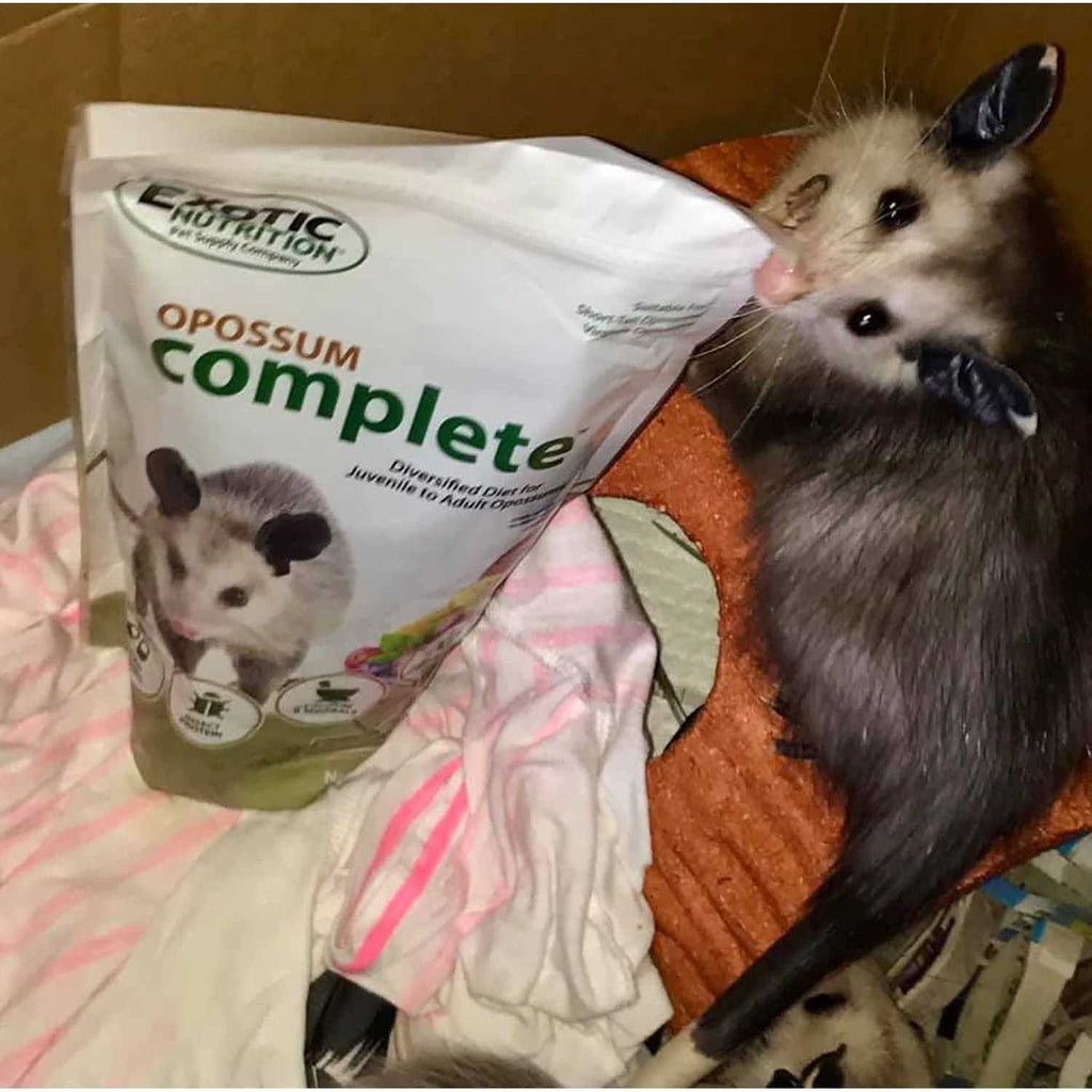 Opossum Complete Food V1083