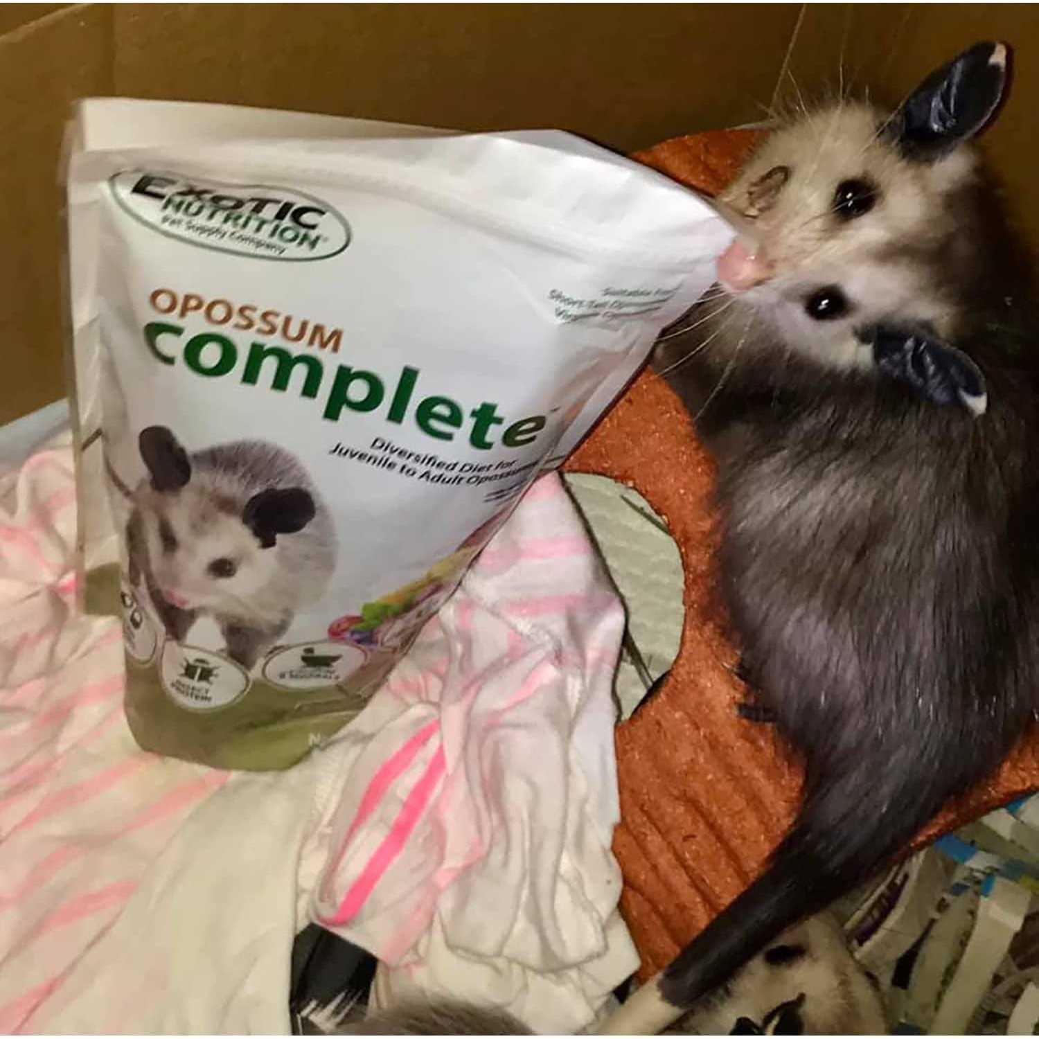 Opossum Complete Food V1083