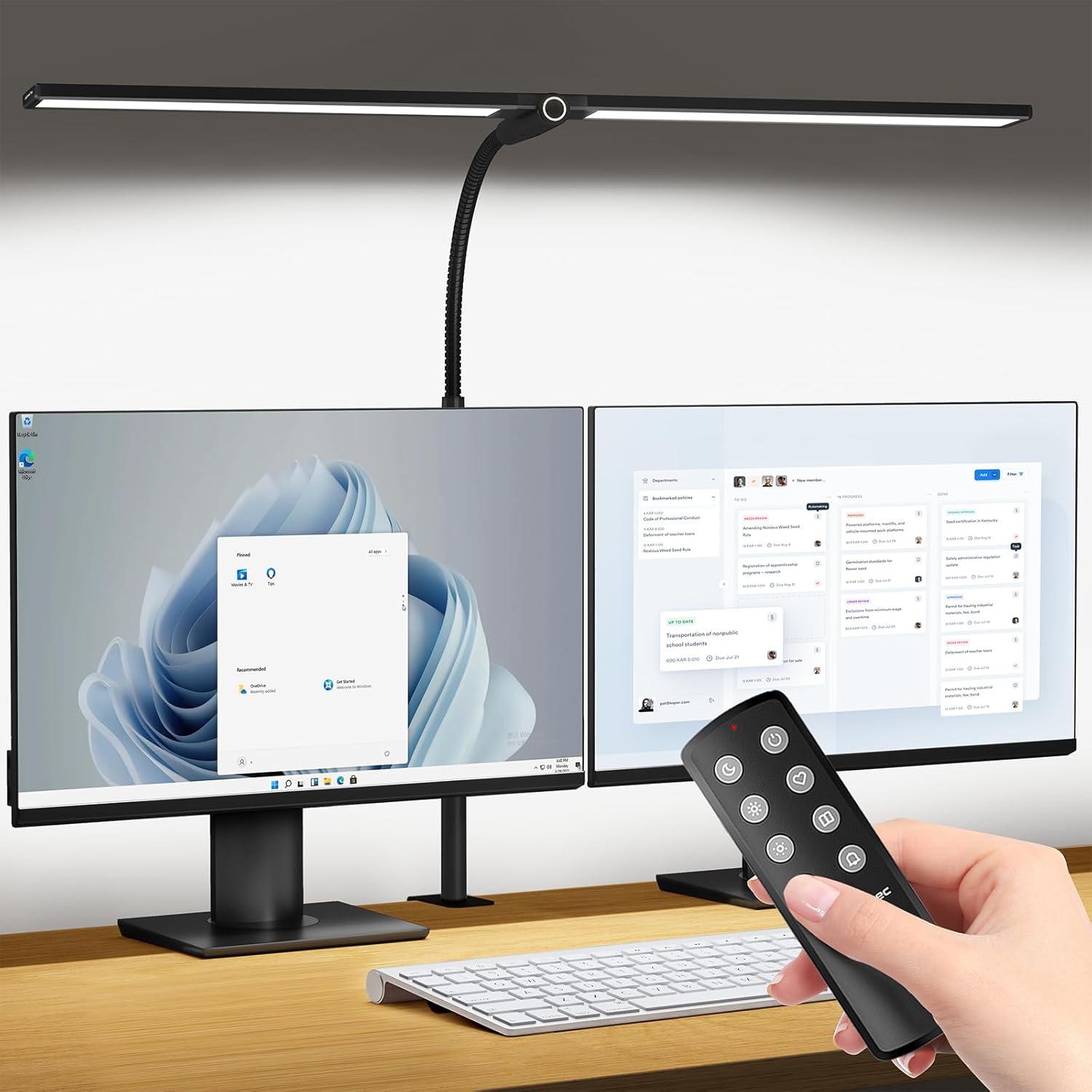 Black Double Head LED Clamp Desk Lamp with Remote Control U32887