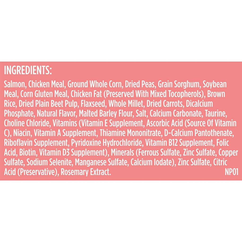 Salmon Veggies & Brown Recipe Dry Dog Food D36200