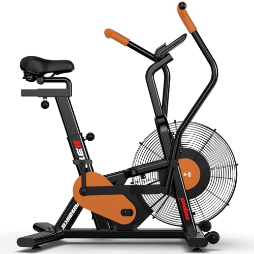 Exercise Bike with Air Resistance Bluetooth Fan Bike R3337