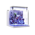 Mini Acrylic Desktop Aquarium with Back Filter System and LED Light O884778