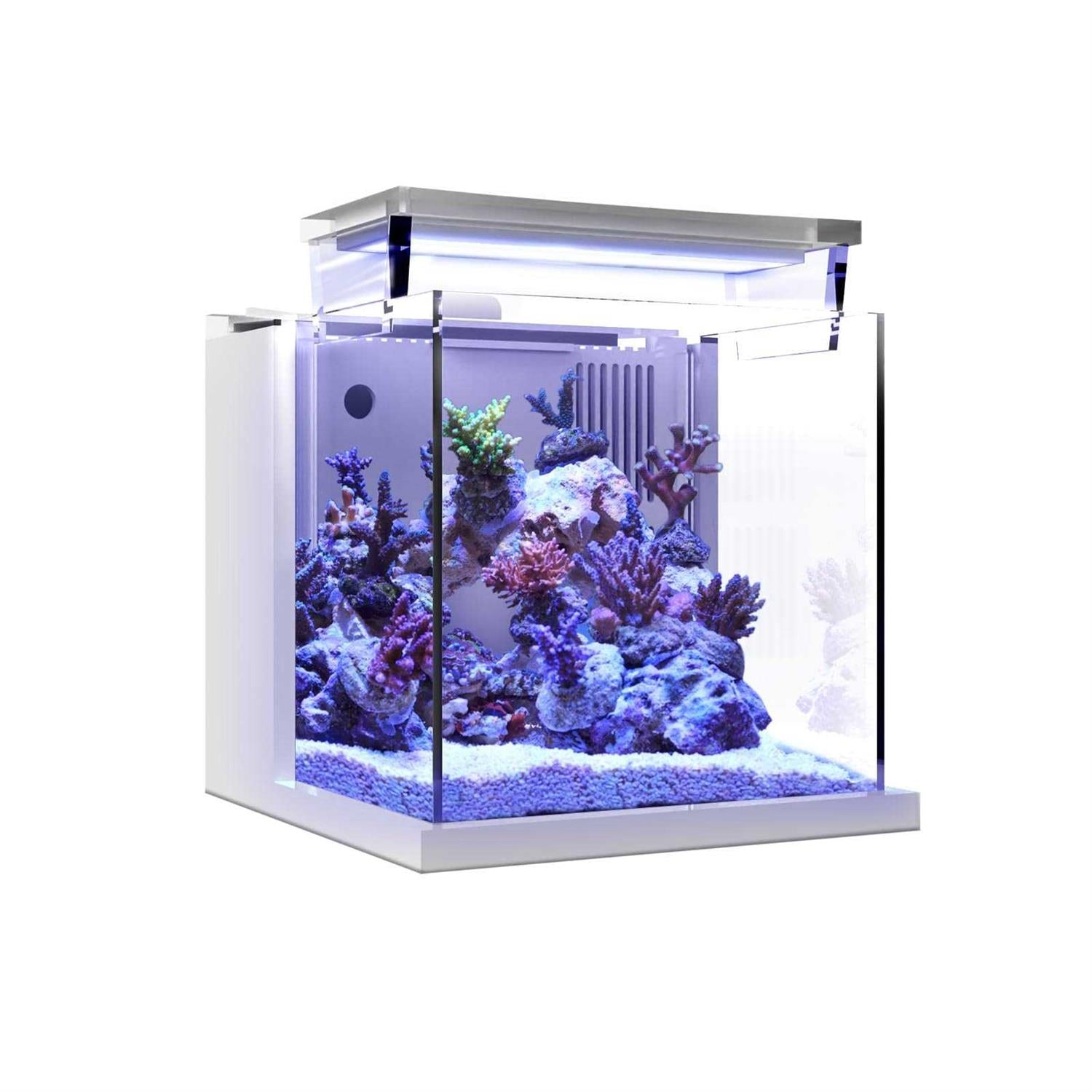 Mini Acrylic Desktop Aquarium with Back Filter System and LED Light O884778