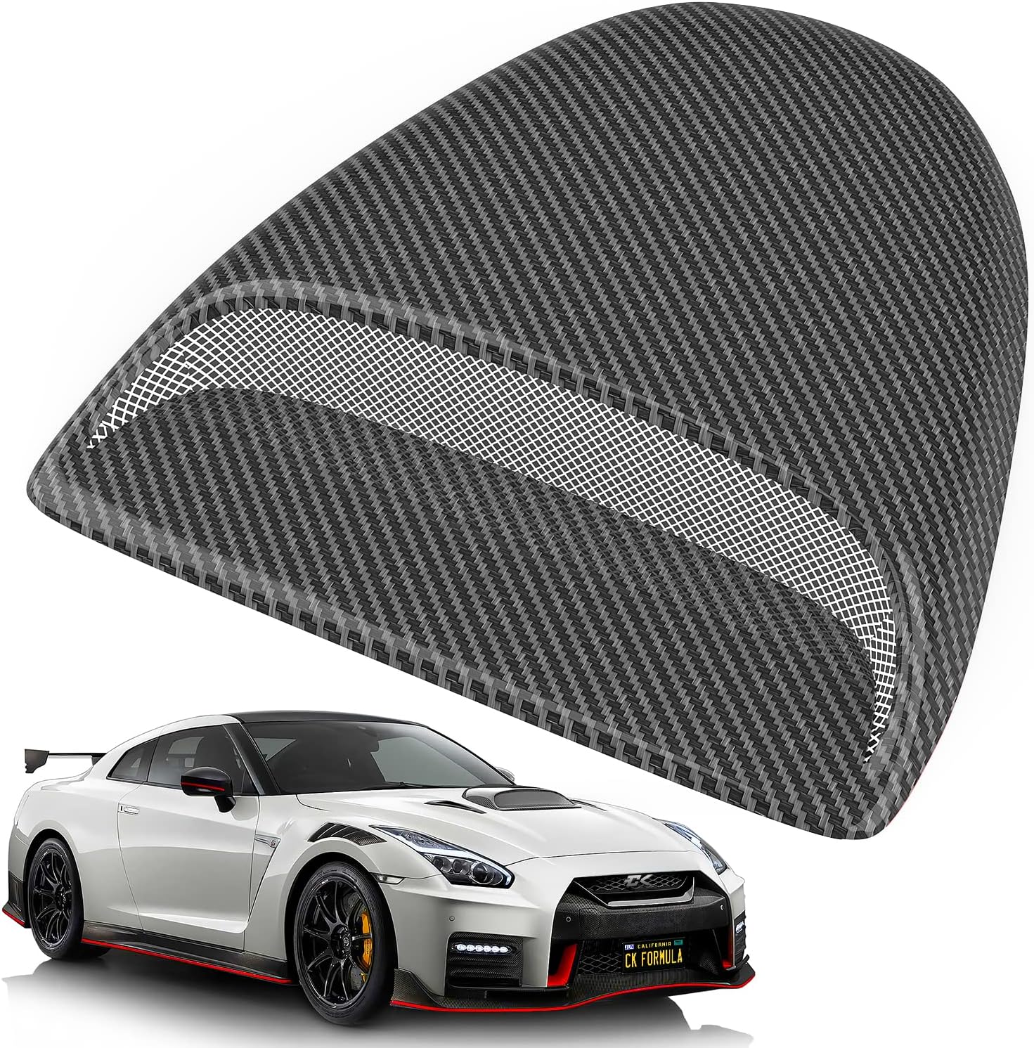 Carbon Fiber Hood Scoop R4421