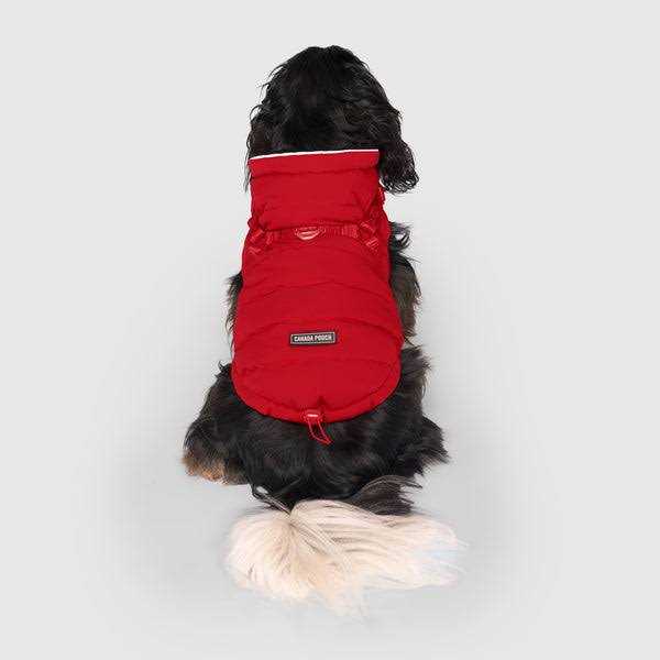 Black Harness Puffer M537