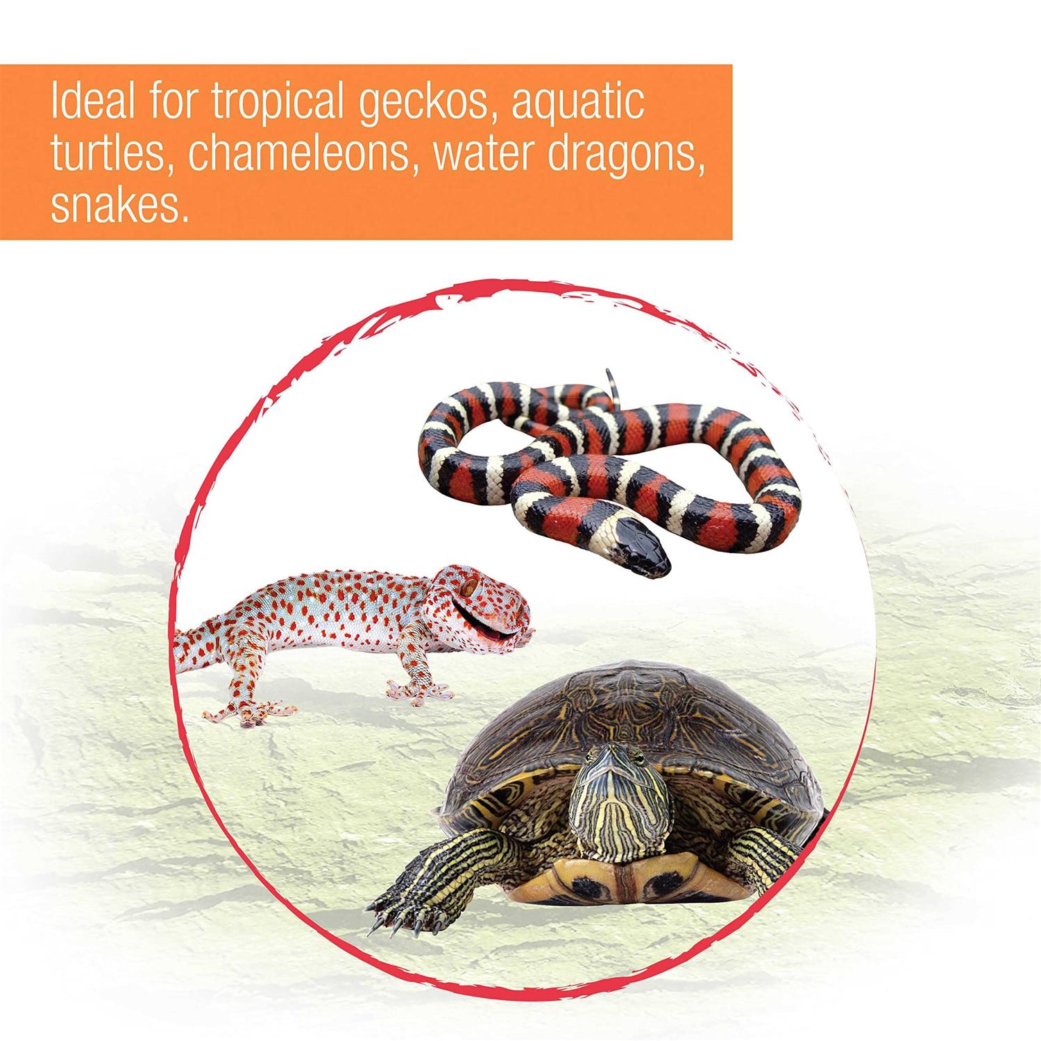 Tropical Reptile Fixture W309