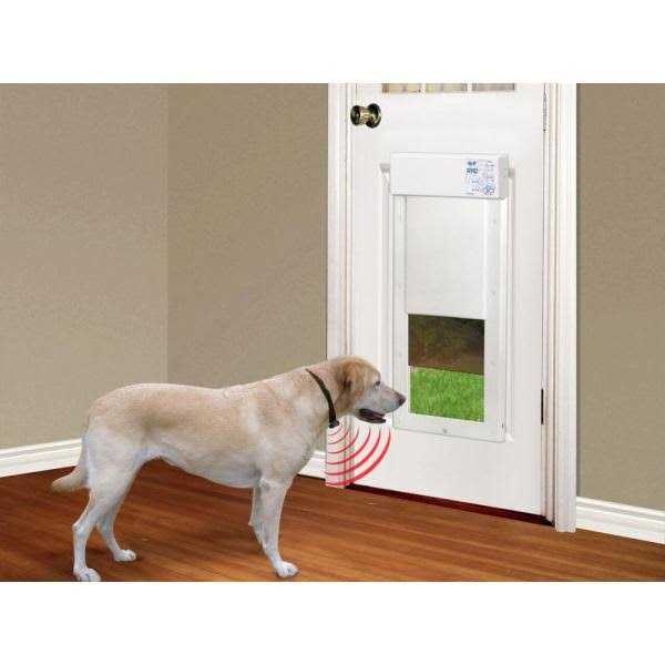 Motorized Pet Door D67783
