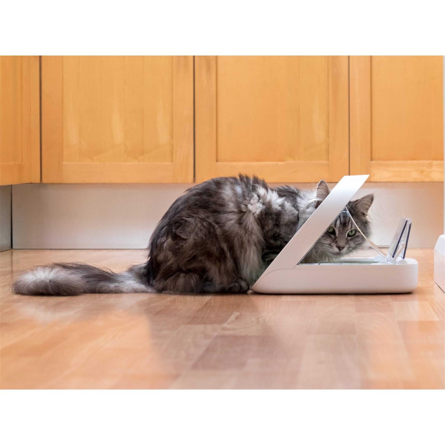 Microchip Pet Feeder N657688