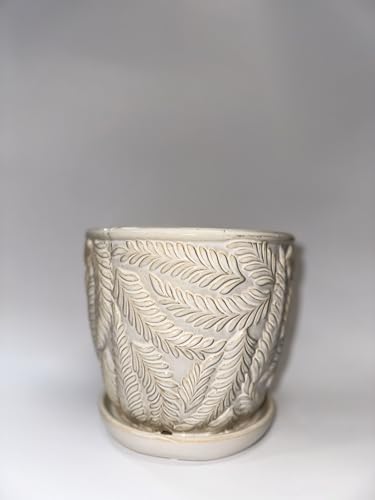 White 7 Inch Indoor Ceramic Planter Pot with Saucer and Drainage Hole O585