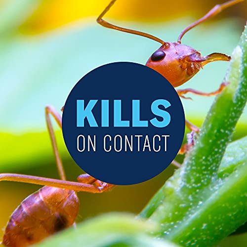 24 Hour Lawn Insect & Fire Ant Killer Granules 20 lb M919